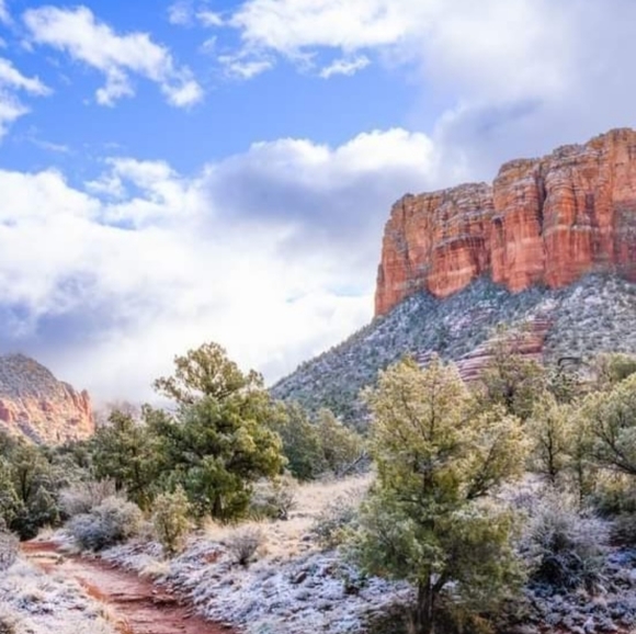 Meet your Posher, Lynnette - Picture 9 of 16